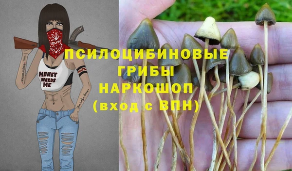 синтетический гашиш Нея