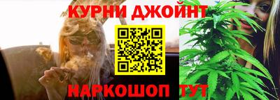 гидра Краснознаменск