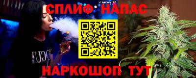 гидра Краснознаменск