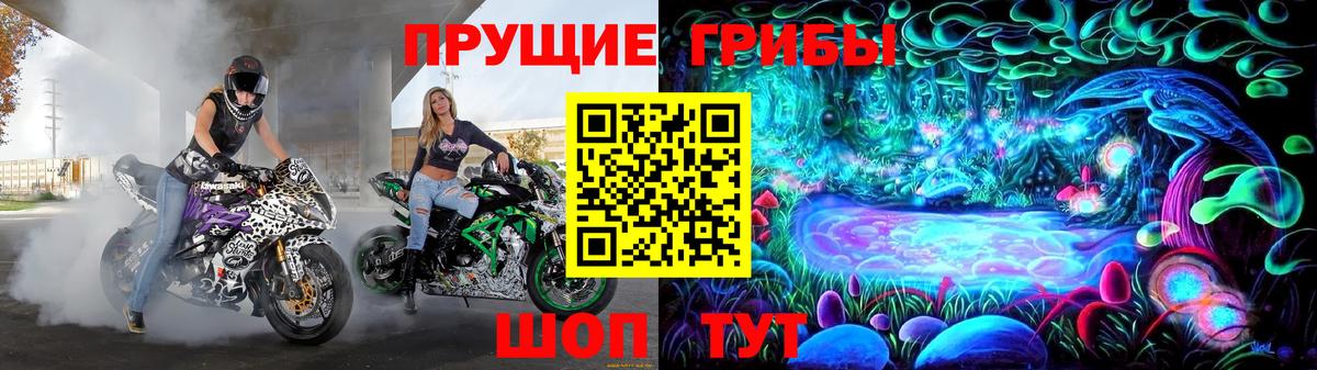 Уварово  наркота  Вход с VPN  Псилоцибиновые грибы мухоморы  Галлюциногенные грибы прущие грибы 